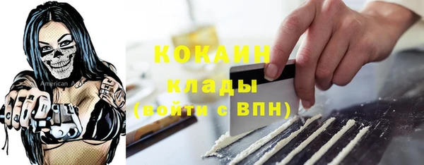 ПСИЛОЦИБИНОВЫЕ ГРИБЫ Верея