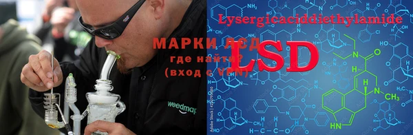 ПСИЛОЦИБИНОВЫЕ ГРИБЫ Верея