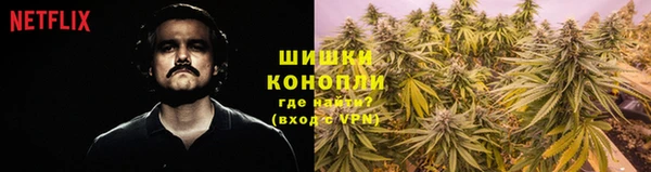 ПСИЛОЦИБИНОВЫЕ ГРИБЫ Верея