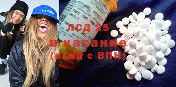 ПСИЛОЦИБИНОВЫЕ ГРИБЫ Верея