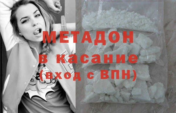 гашик Тайга
