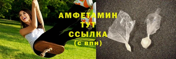 ПСИЛОЦИБИНОВЫЕ ГРИБЫ Верея