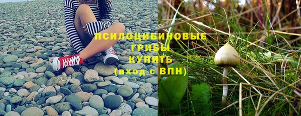 не бодяженный Верхний Тагил