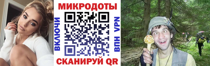 Купить  Октябрьск  Псилоцибиновые грибы Cubensis 